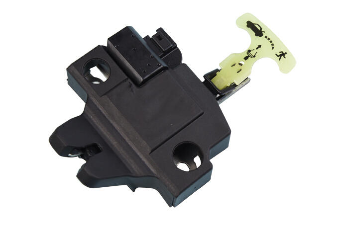 Ackoja A70850001 Tailgate Lock | ML Performance Car Parts