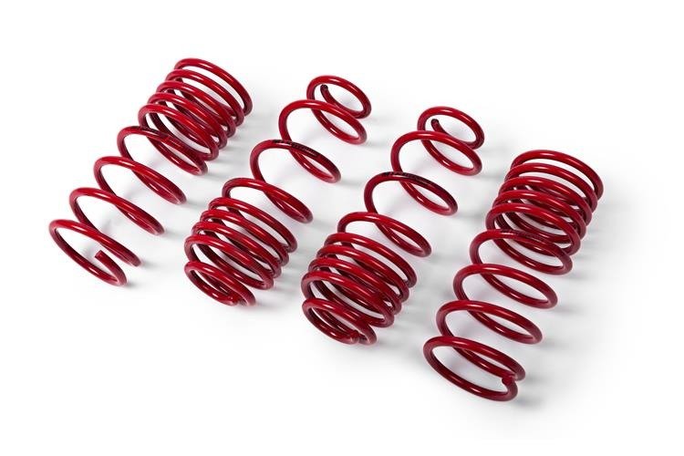 MTS Technik BMW Performance Springs - MTSXBM037 Lowering Springs - Set