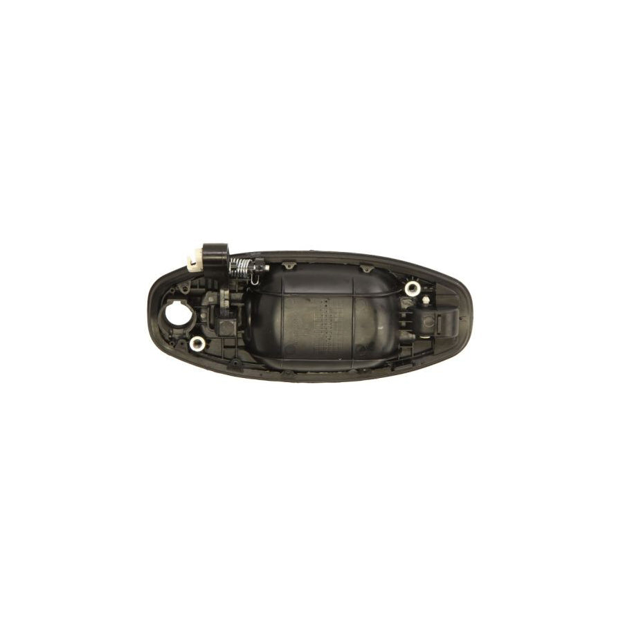 Blic 6010-20-021401P Door Handle For Hyundai Santa Fe I (Sm)