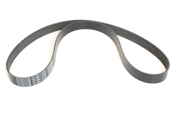 Aston Martin 05-81584 Engine Drive Belt | ML Performance UK Car Parts