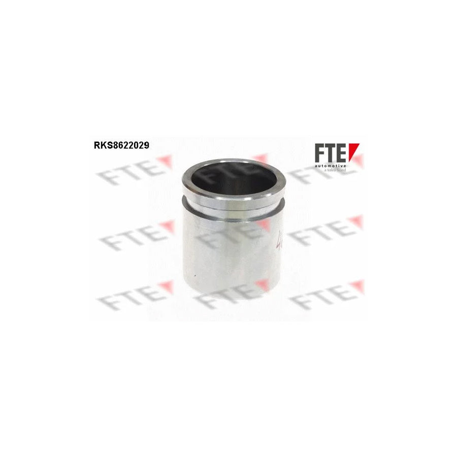 Fte 9313187 Piston, Brake Caliper | ML Performance UK Car Parts