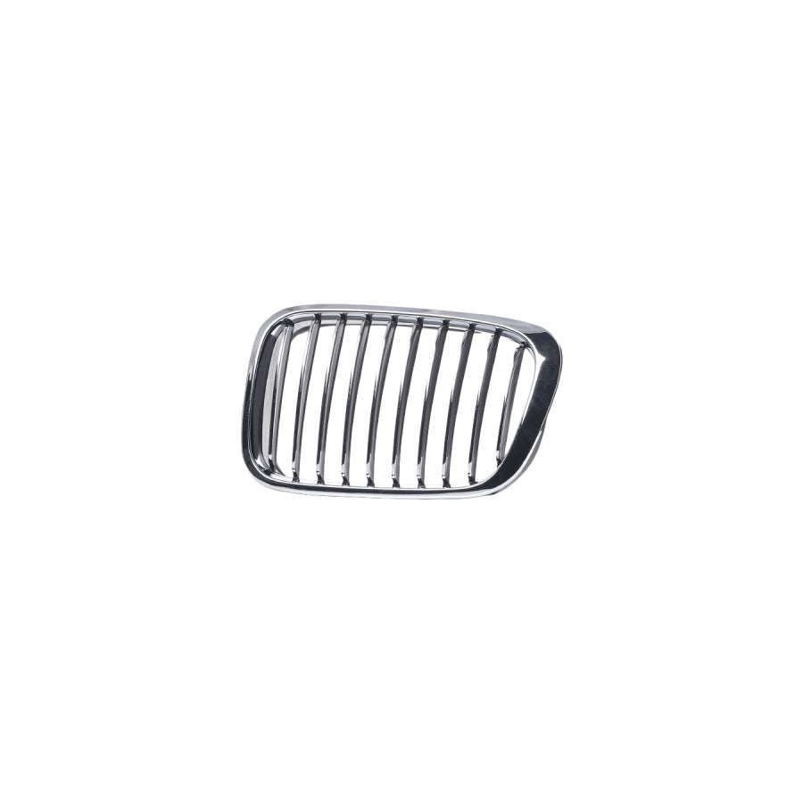 Blic 5601-00-2564990P Radiator Grille