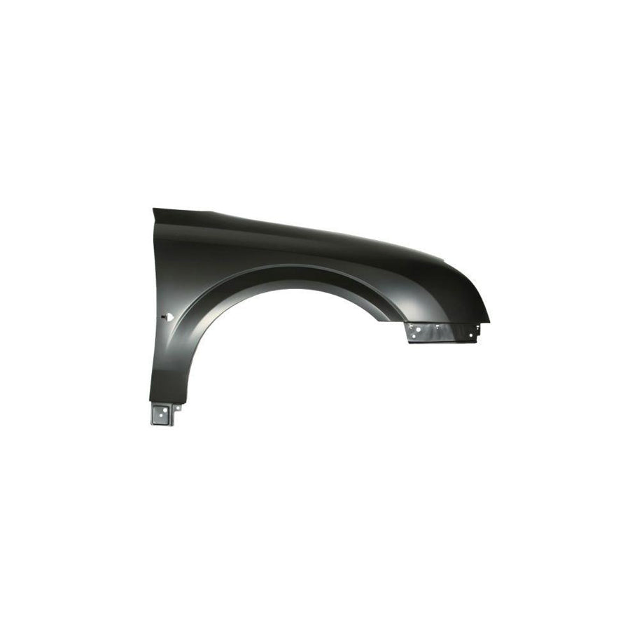 Blic 6504-04-5078312P Wing Fender