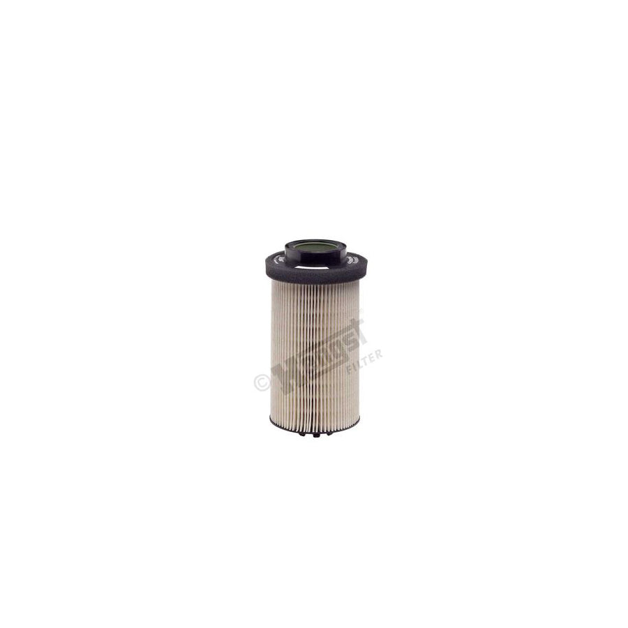 Hengst Filter E500Kp02 D36 Fuel Filter