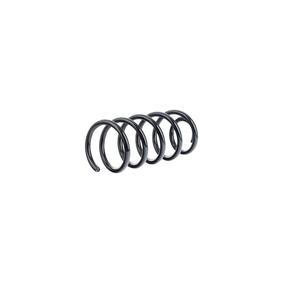 Monroe SP1731 Coil Spring