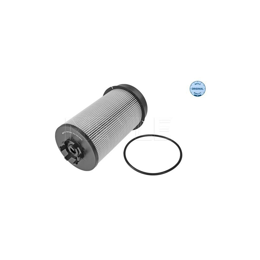 Meyle 034 323 0002 Fuel Filter