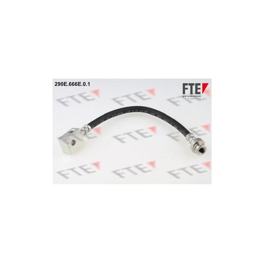 Fte 290E.666E.0.1 Brake Hose | ML Performance UK Car Parts