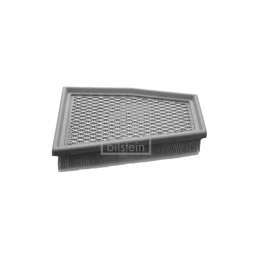 Febi Bilstein 48531 Air Filter