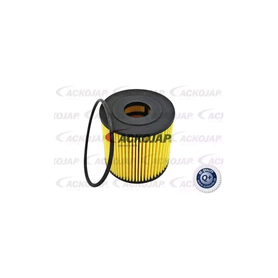 Ackoja A38-0503 Oil Filter | ML Performance UK