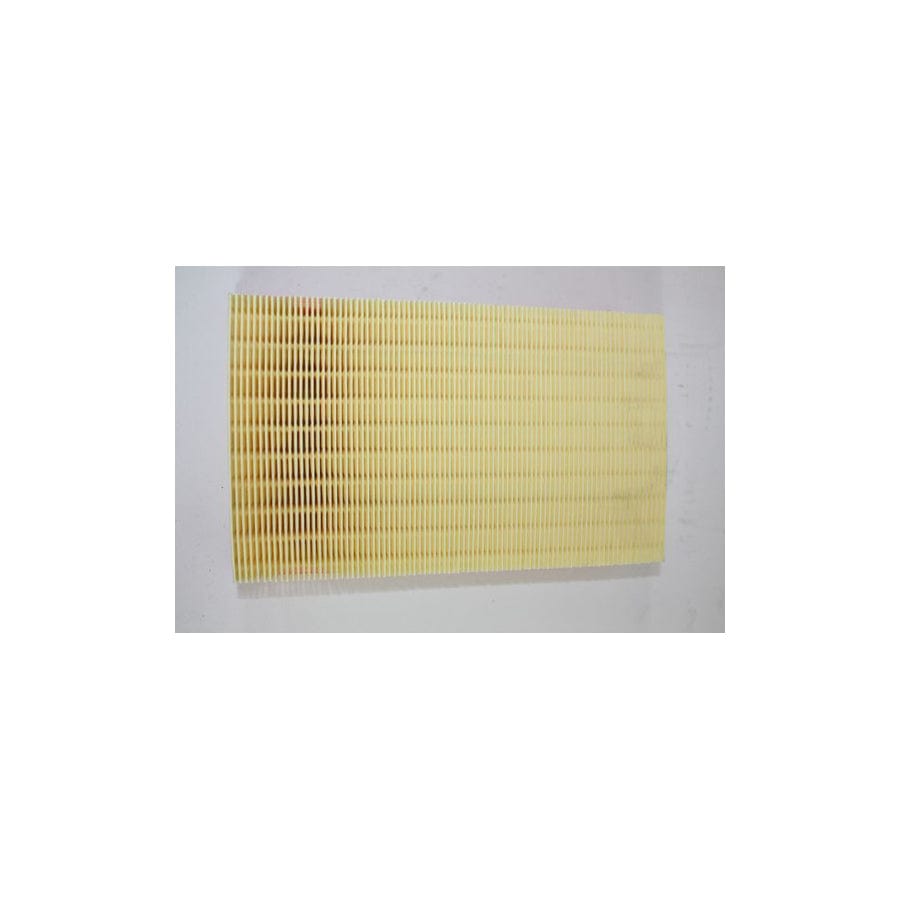 AUTOMEGA 180035610 Air Filter for FORD TRANSIT | ML Performance UK Car Parts