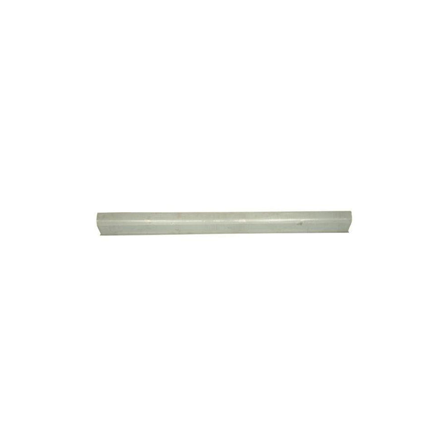 Blic 6505-06-0527016P Rocker Panel