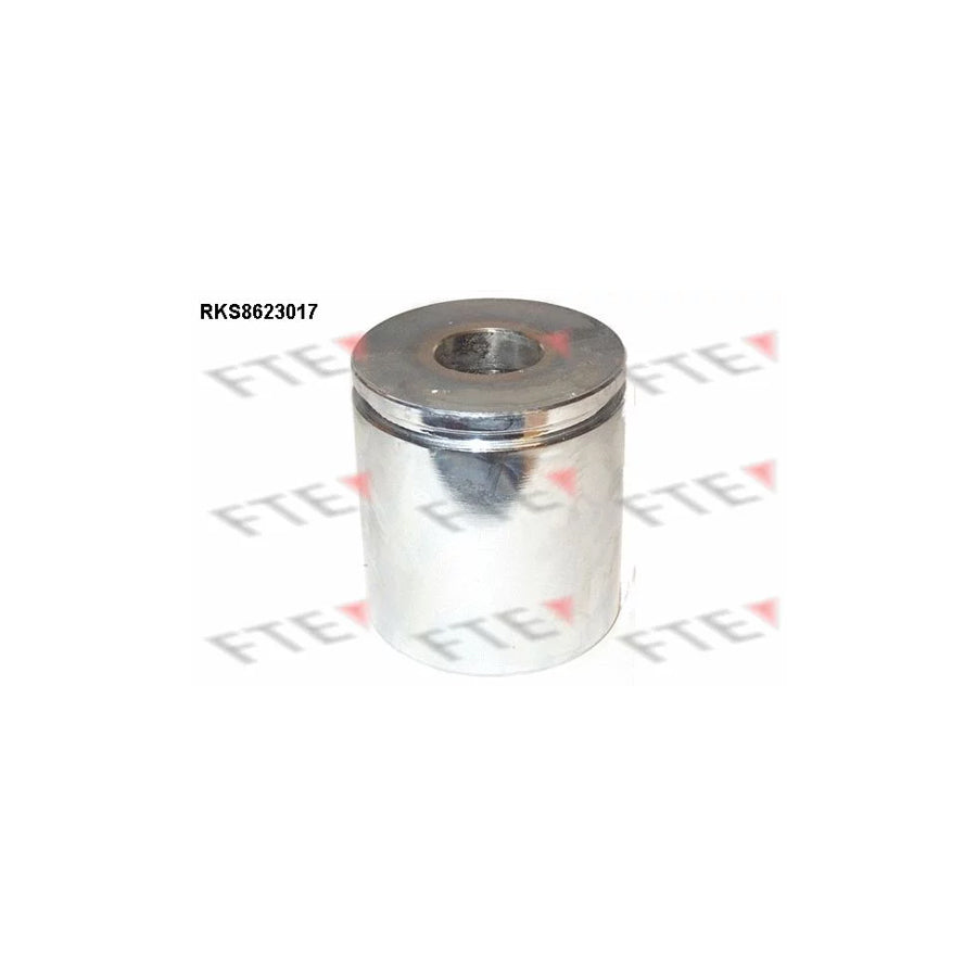 Fte 9313201 Piston, Brake Caliper | ML Performance UK Car Parts