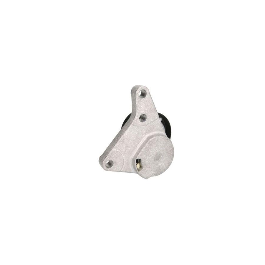 Bta B05-01-027 Tensioner Pulley