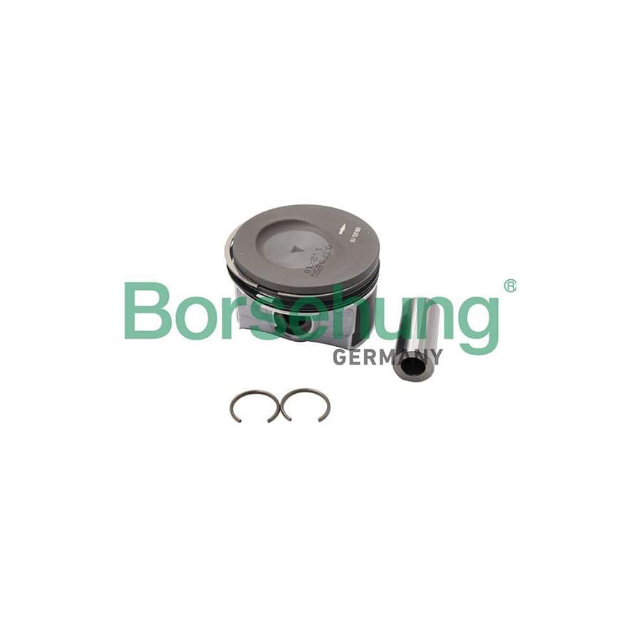 Borsehung B18996 Piston Ring Kit