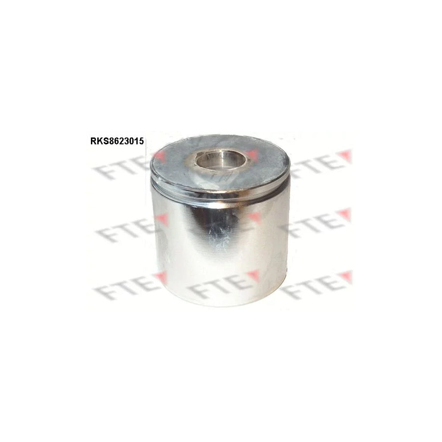 Fte 9313199 Piston, Brake Caliper | ML Performance UK Car Parts