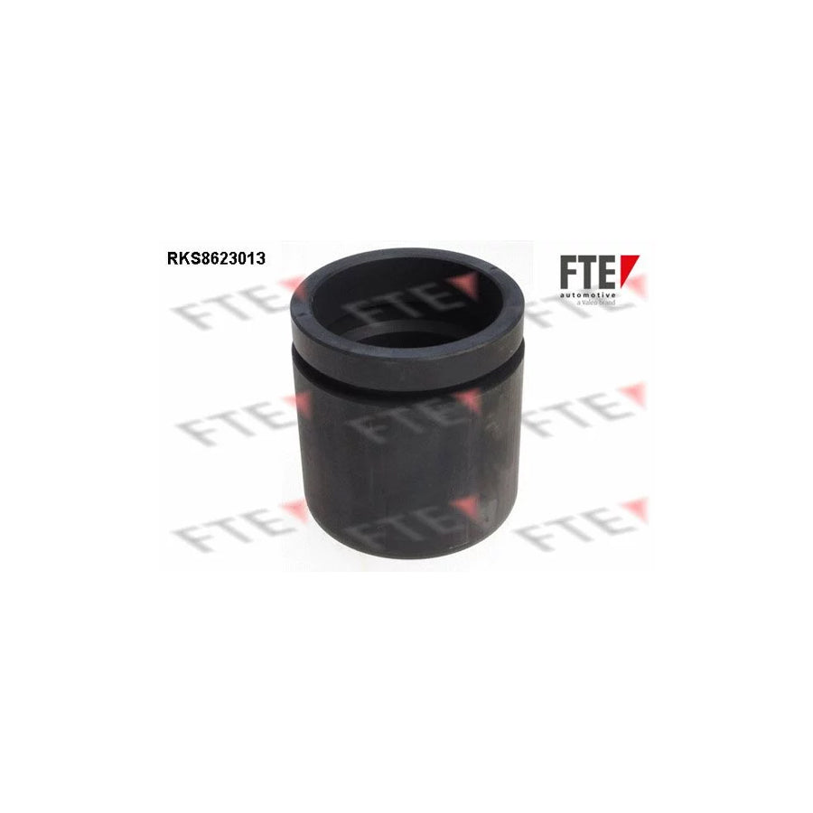 Fte 9313197 Piston, Brake Caliper | ML Performance UK Car Parts