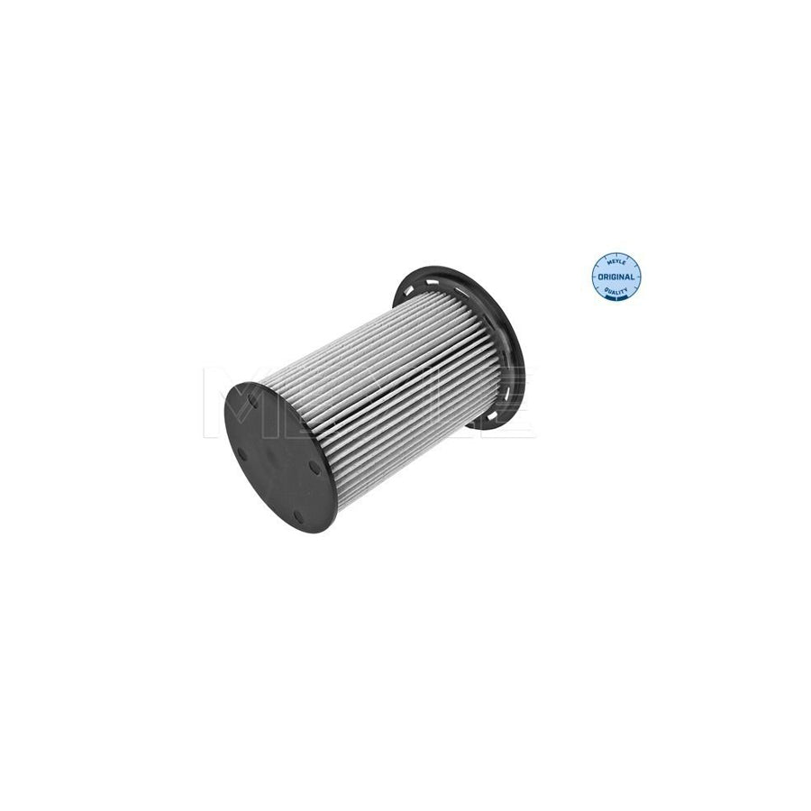 Meyle 714 323 0016 Fuel Filter