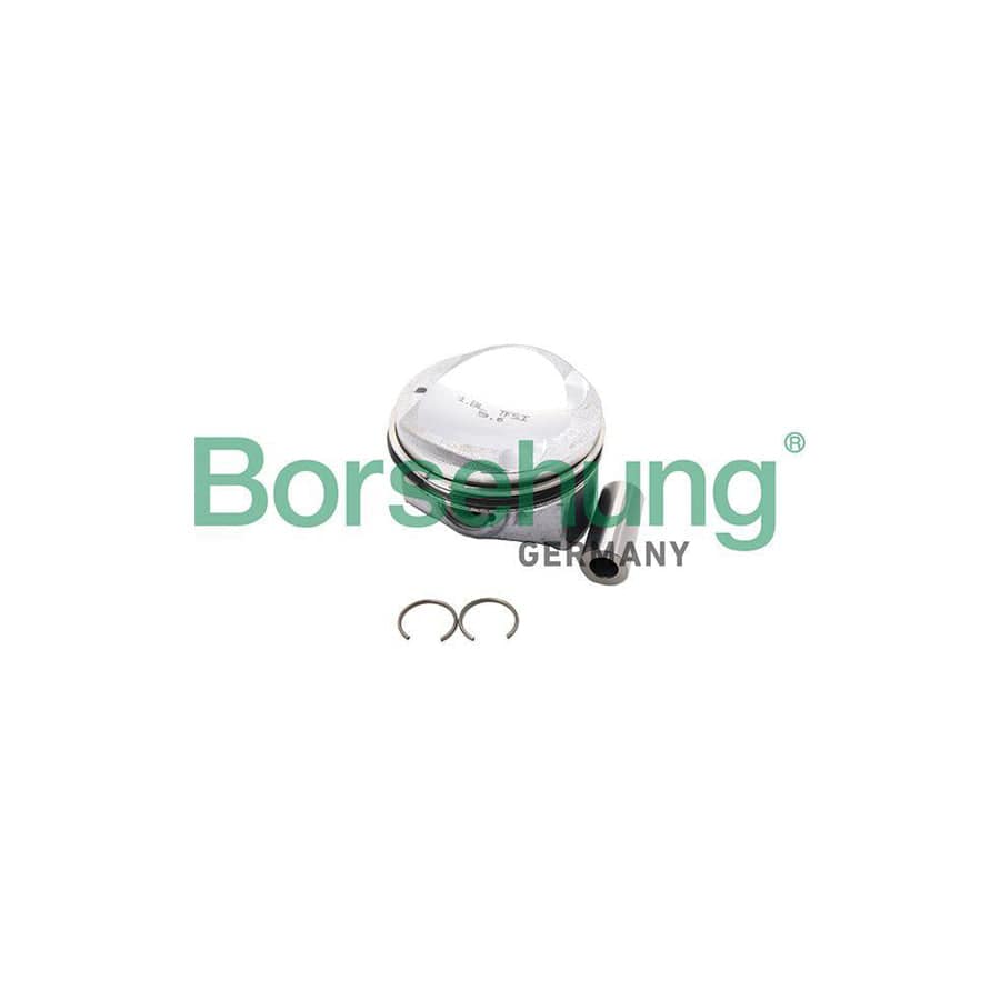 Borsehung B18991 Piston Ring Kit