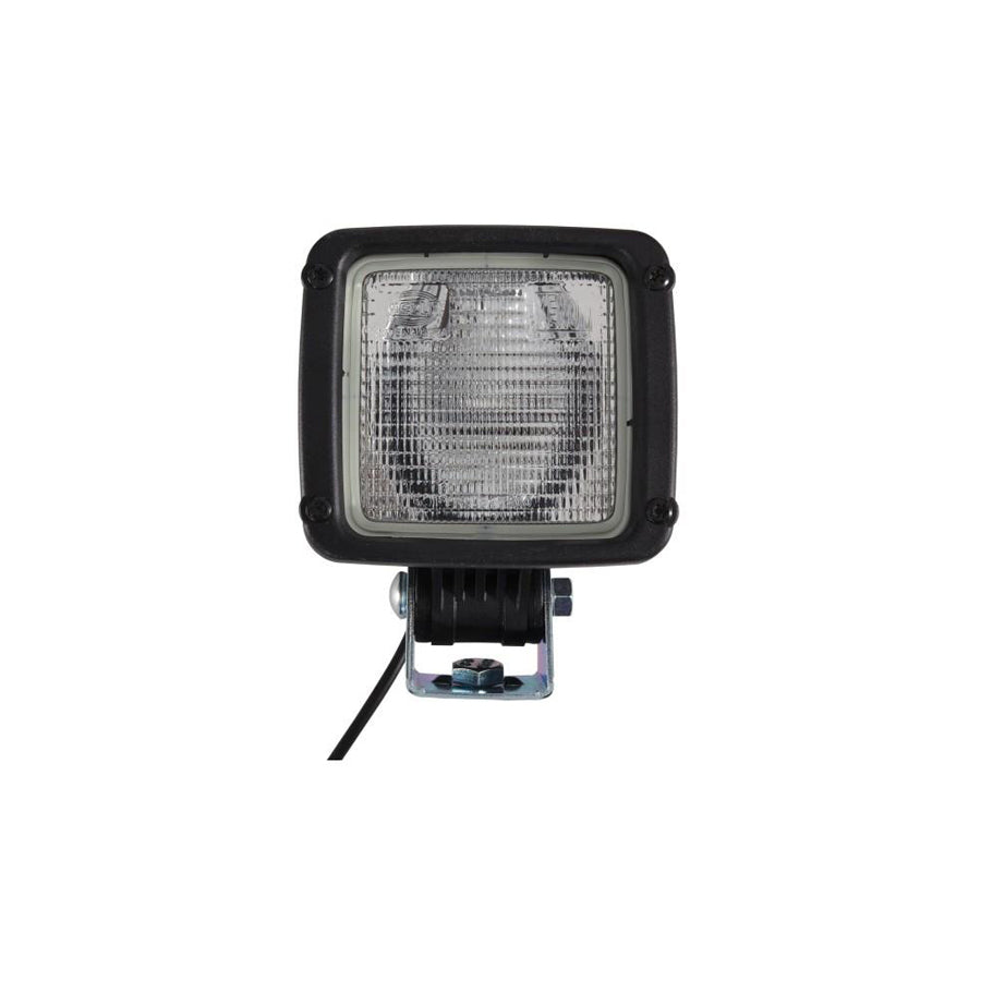 Hella 1GA 998 534-601 Worklight