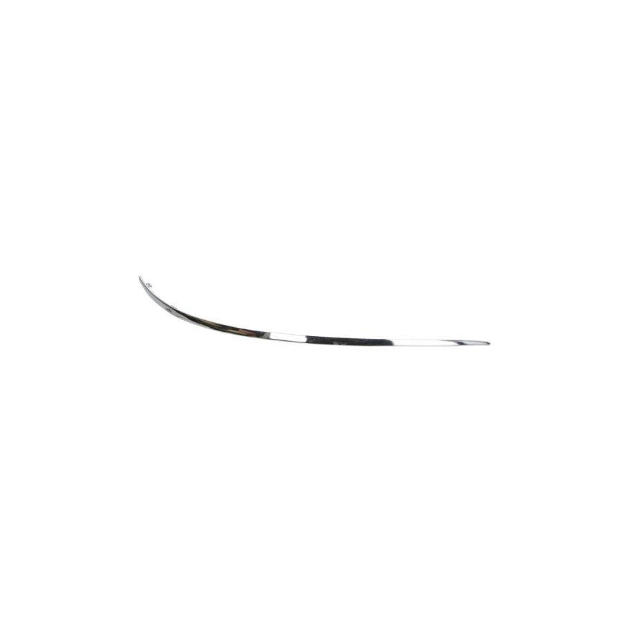 Blic 5703-05-3506922P Bumper Moulding Suitable For Mercedes-Benz A-Class (W169)