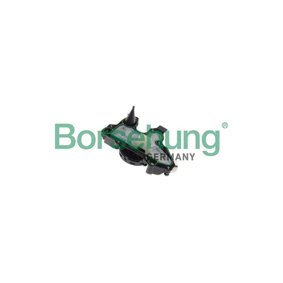 Borsehung B11919 Oil Trap, Crankcase Breather