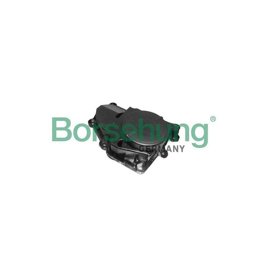 Borsehung B11918 Oil Trap, Crankcase Breather