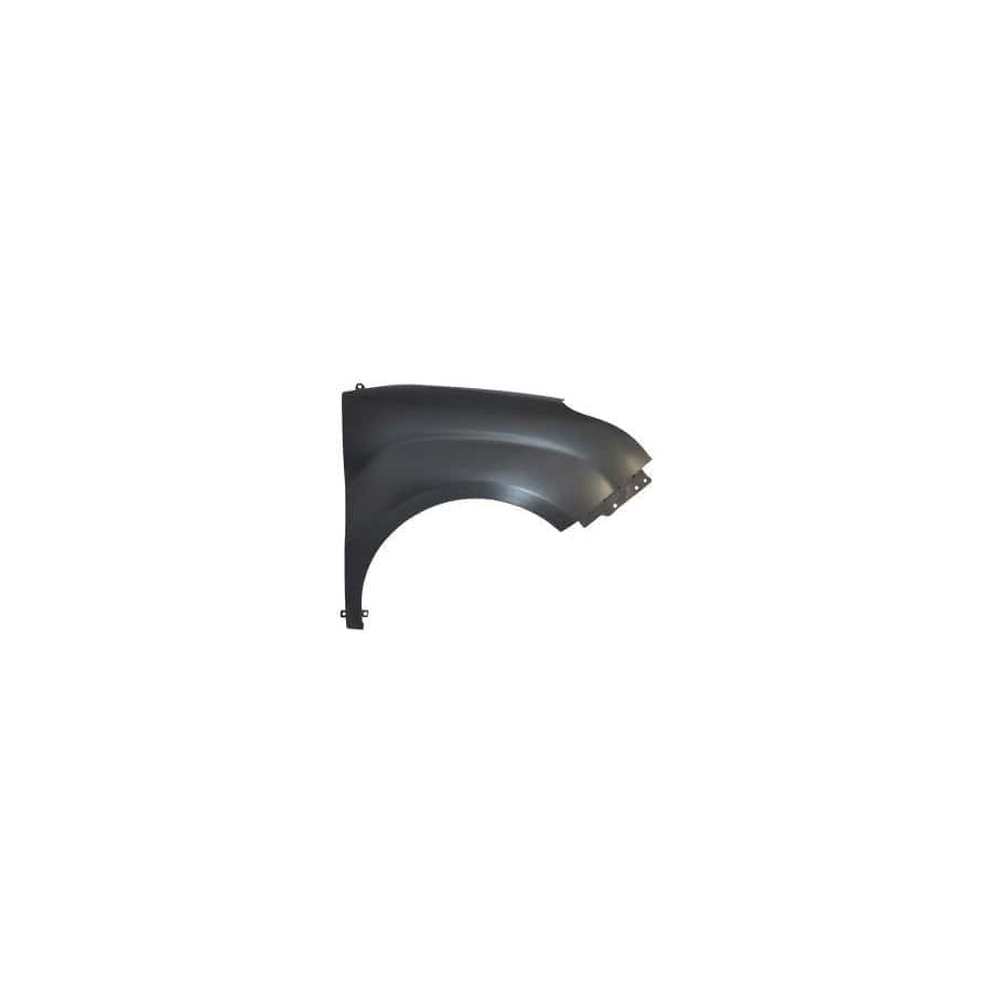 Abakus 01656202 Wing Fender For Fiat Doblo | ML Performance UK