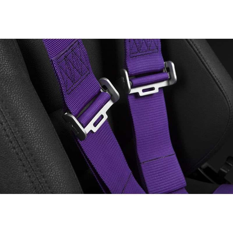 BRAUM 5 Pt – Sfi 16.1 Racing Harness (Purple)