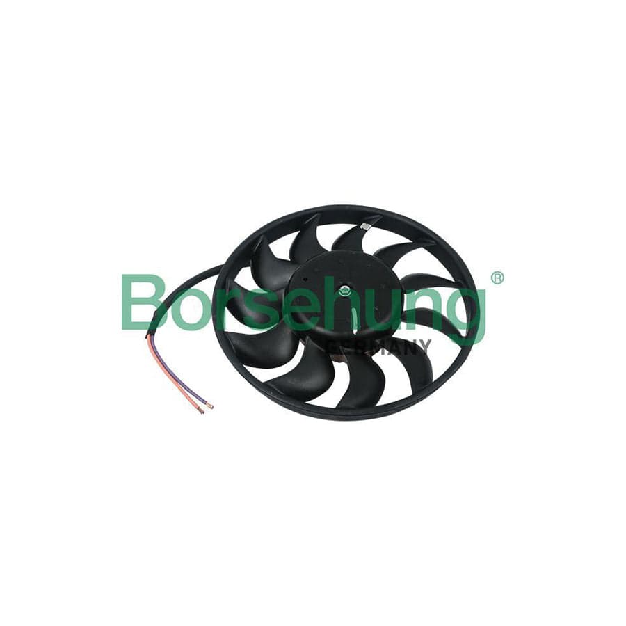 Borsehung B11898 Fan, Radiator For Audi A6