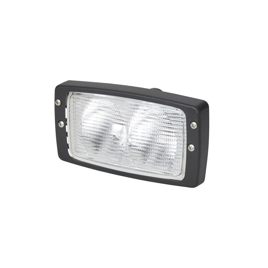 Hella 1GB 996 080-031 Worklight