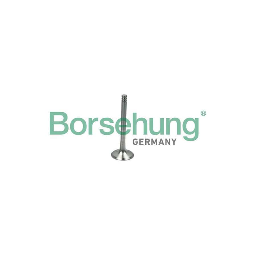 Borsehung B19013 Exhaust Valve