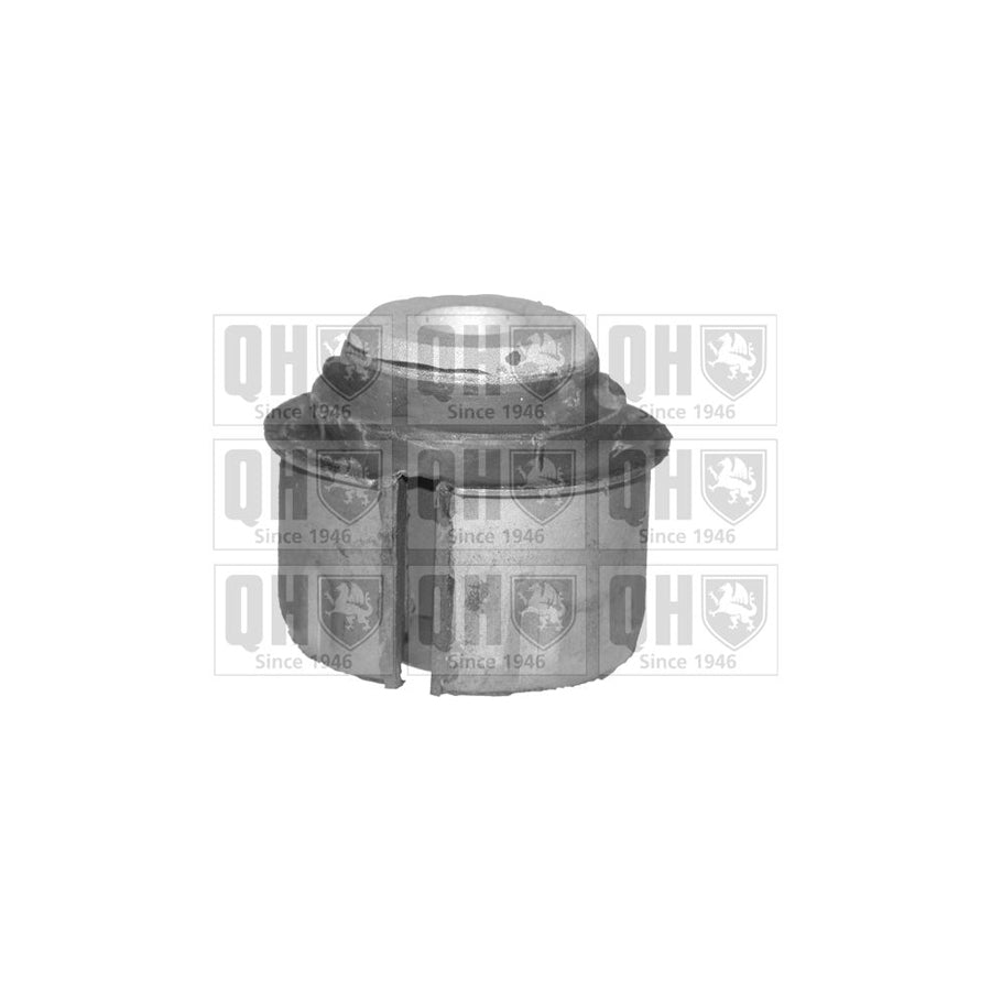 Quinton Hazell EMS8114 Control Arm / Trailing Arm Bush Suitable For MercedesBenz 190 (W201) | ML Performance UK Car Parts