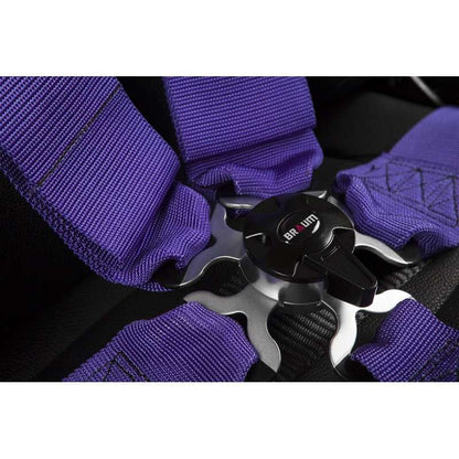 BRAUM 5 Pt – Sfi 16.1 Racing Harness (Indigo)