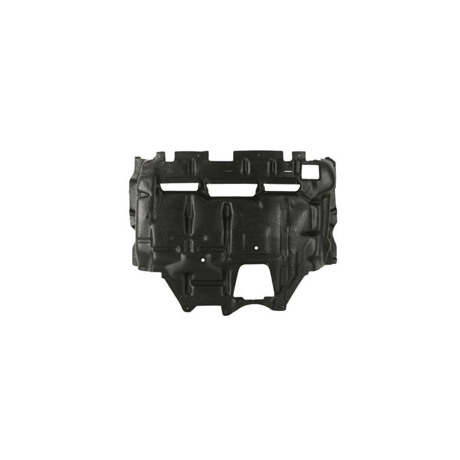 Blic 6601-02-2512860P Engine Cover