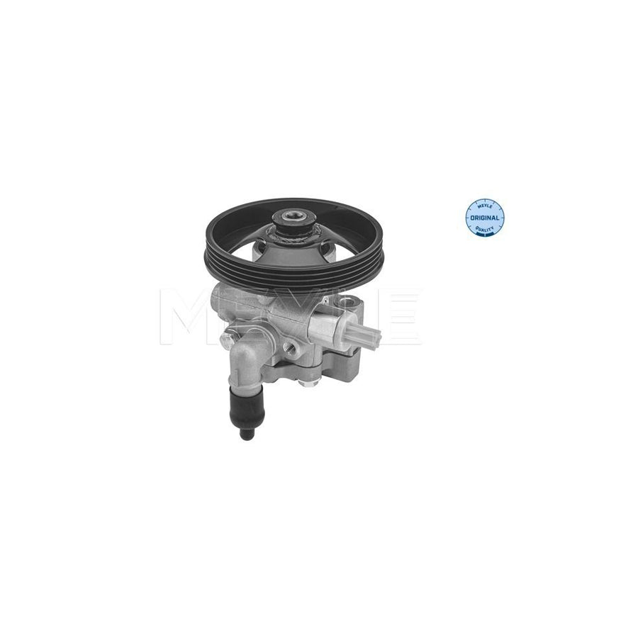 Meyle 614 631 0019 Power Steering Pump