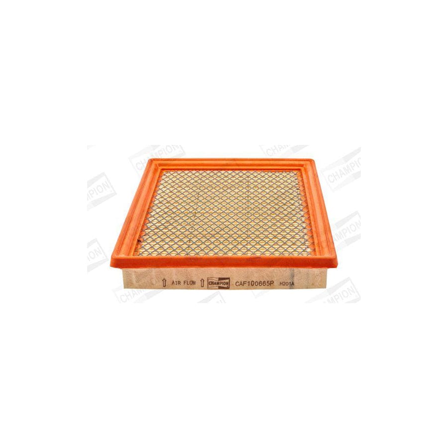 Champion CAF100665P Air Filter