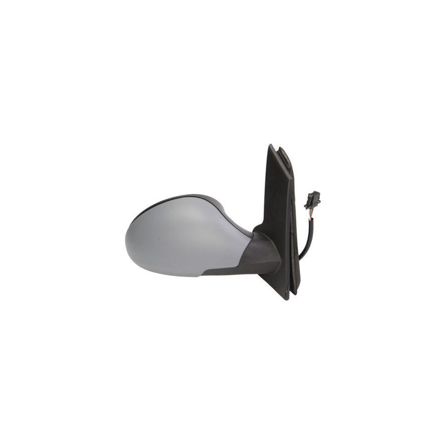 Blic 5402-04-1129950P Wing Mirror