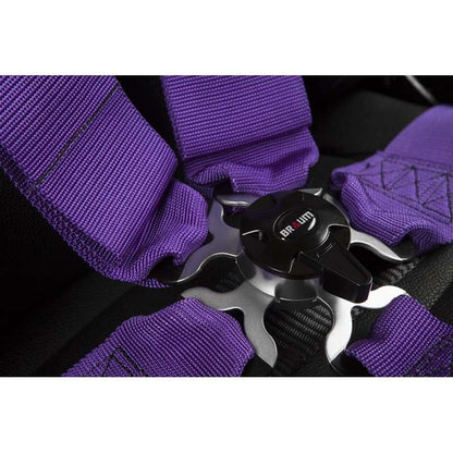 BRAUM 5 Pt – Sfi 16.1 Racing Harness (Purple)