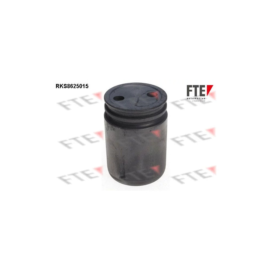 Fte 9313222 Piston, Brake Caliper | ML Performance UK Car Parts