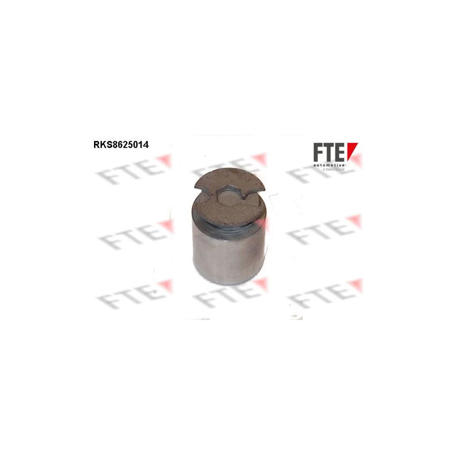 Fte 9313221 Piston, Brake Caliper | ML Performance UK Car Parts