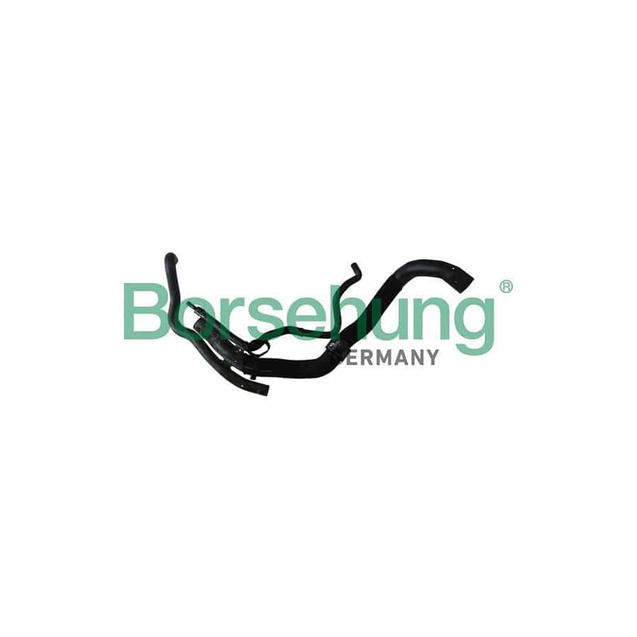 Borsehung B11963 Radiator Hose