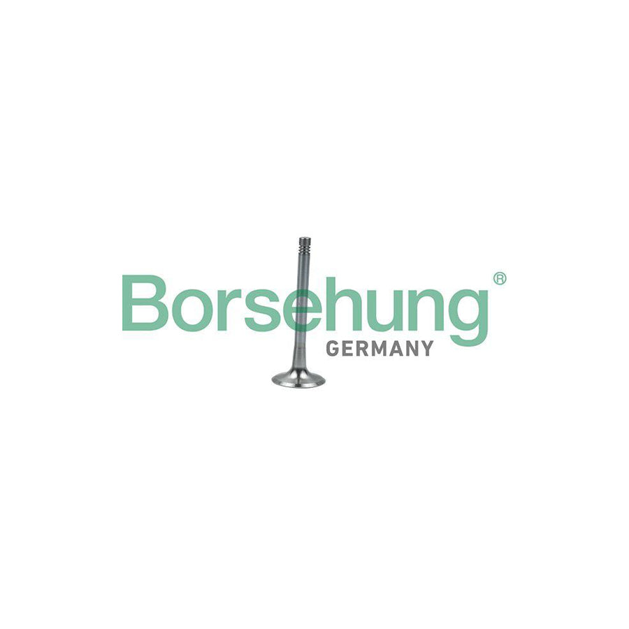 Borsehung B19008 Exhaust Valve