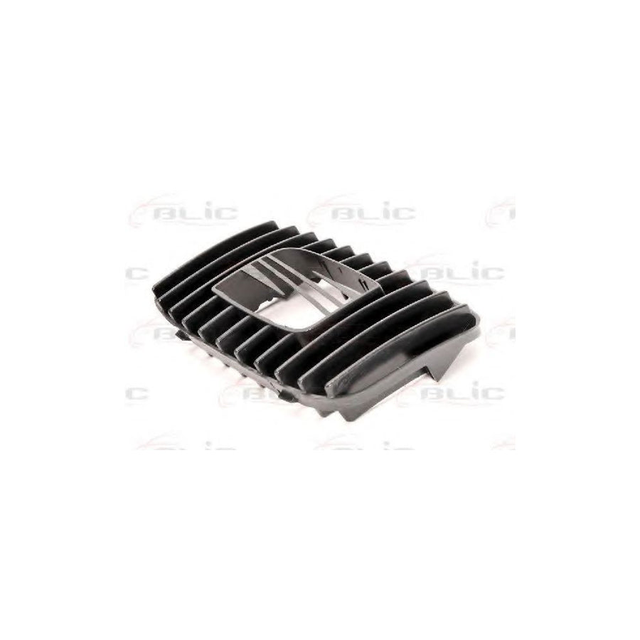 Blic 5601-00-6616992P Radiator Grille