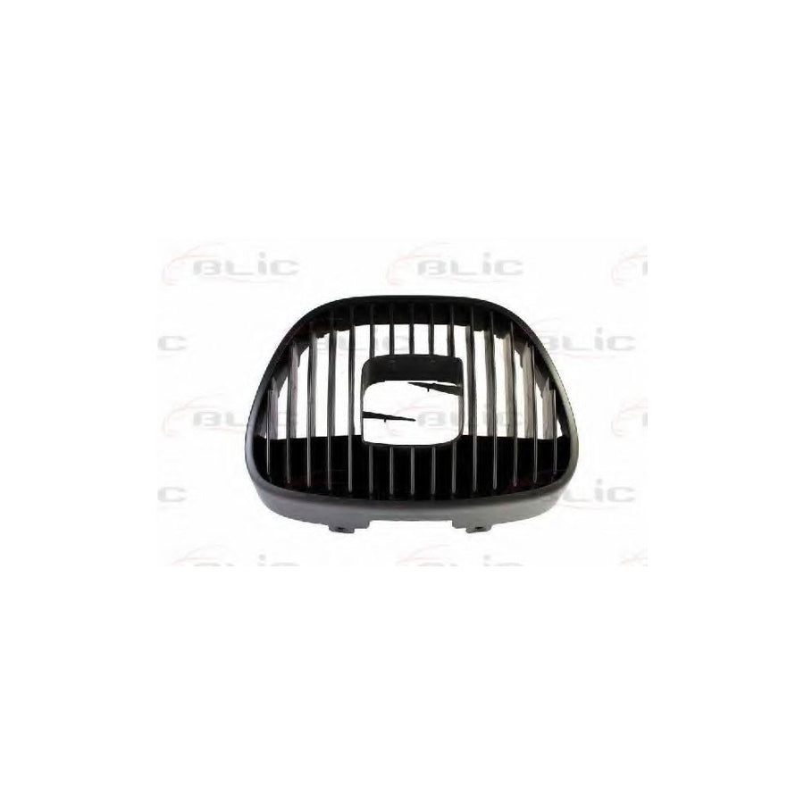 Blic 5601-00-6609993P Radiator Grille