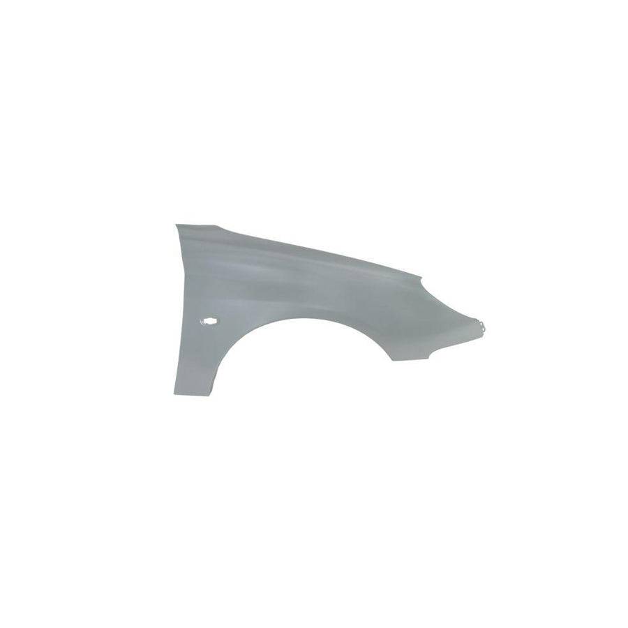 Blic 6504-04-5507312P Wing Fender For Peugeot 206