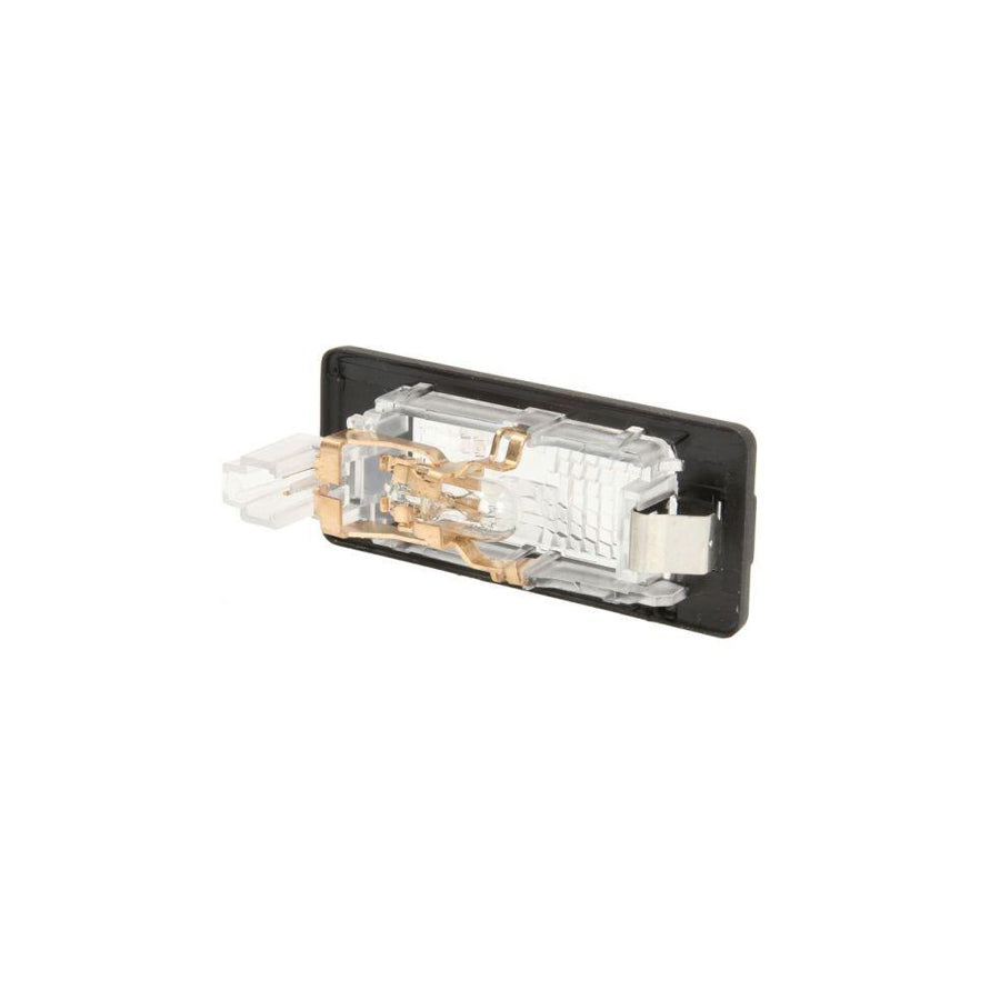 Blic 5402-43-1305100P Licence Plate Light