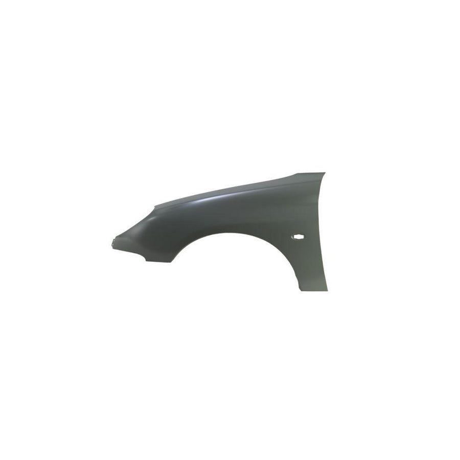 Blic 6504-04-5507311P Wing Fender For Peugeot 206