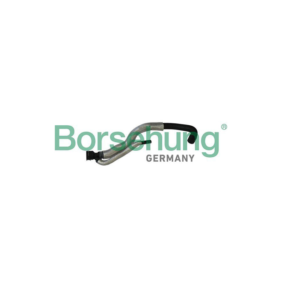 Borsehung B11962 Radiator Hose