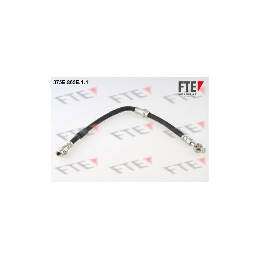 Fte 9240543 Brake Hose | ML Performance UK Car Parts