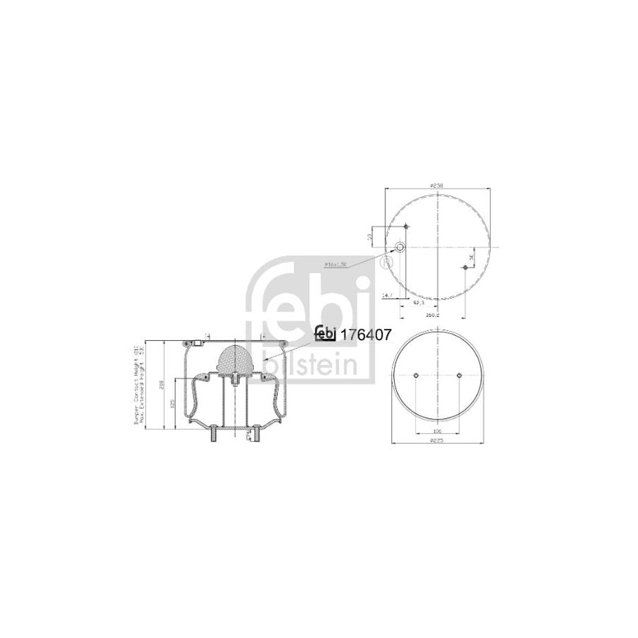 Febi Bilstein 176407 Boot, Air Suspension